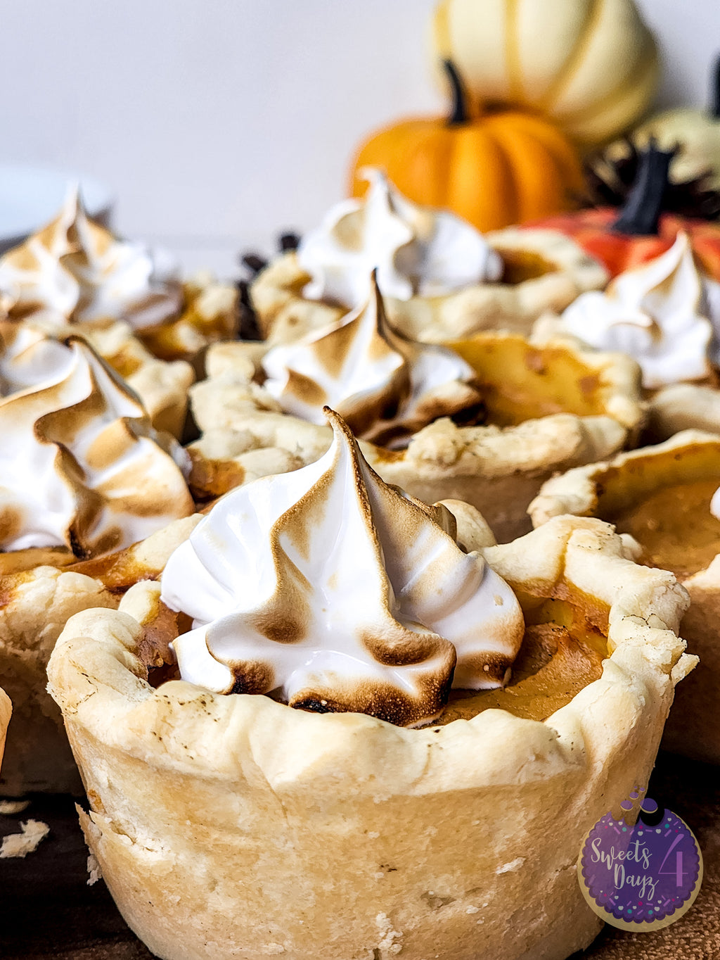 Mini Pumpkin Pies on White