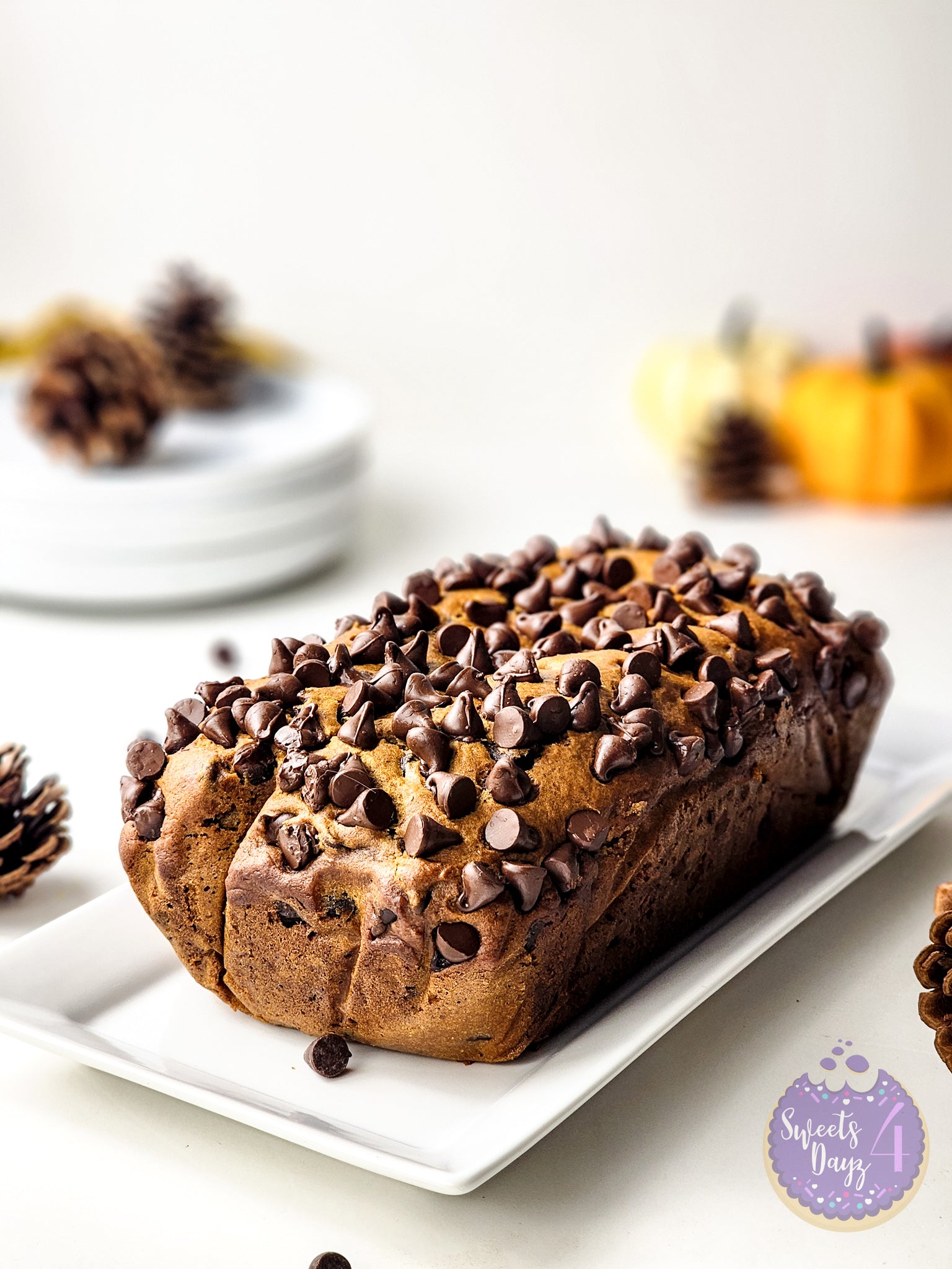 Pumpkin Loaf Bread on White