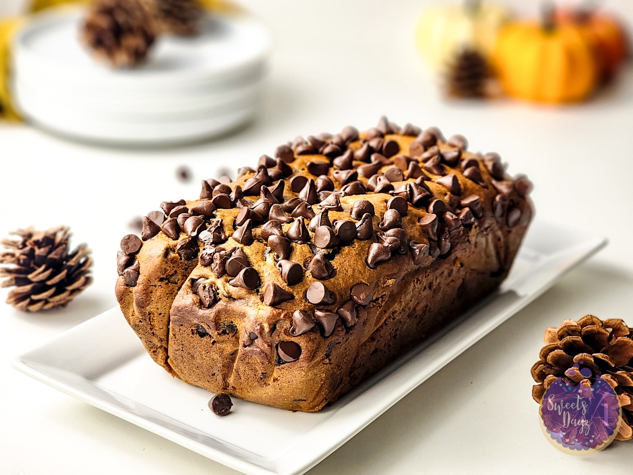 Pumpkin Loaf Bread on White