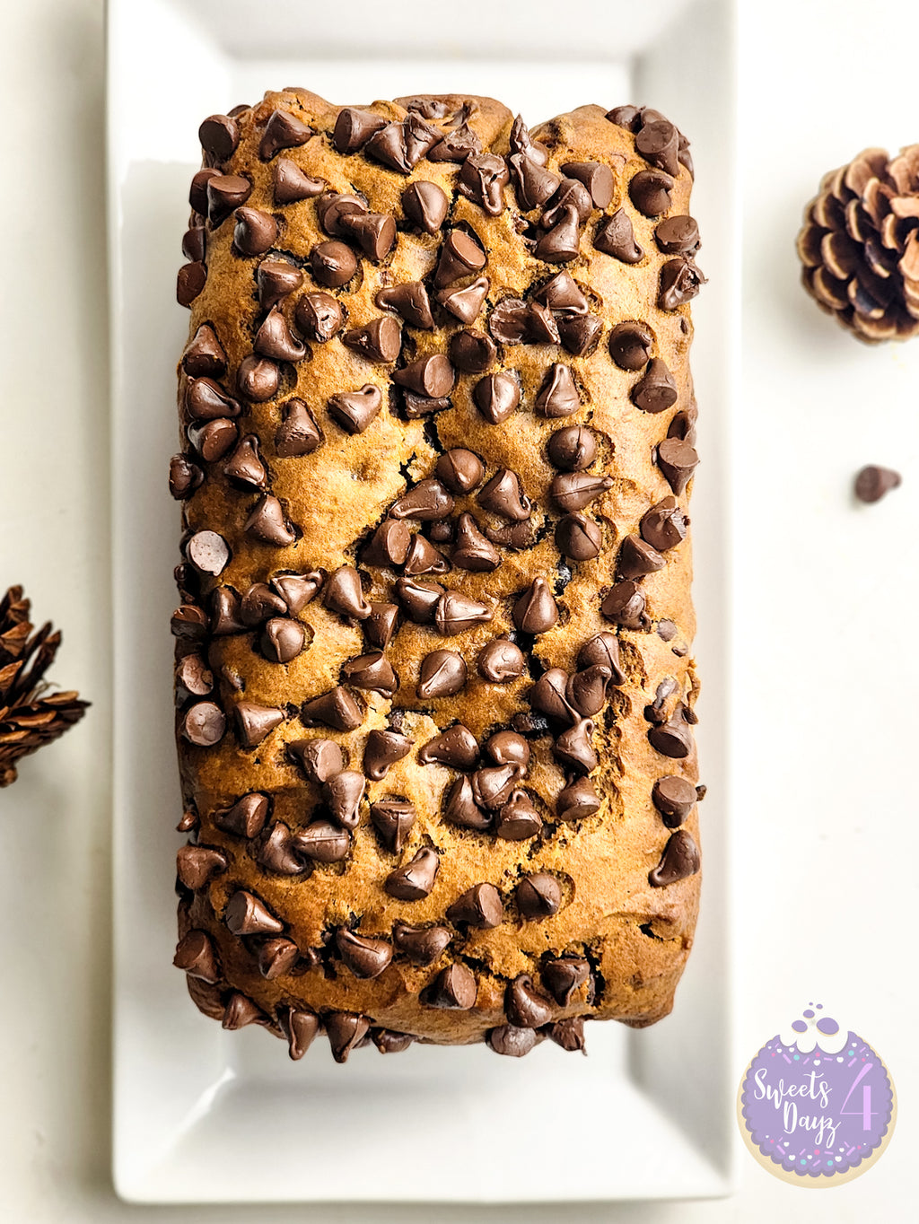 Pumpkin Loaf Bread on White