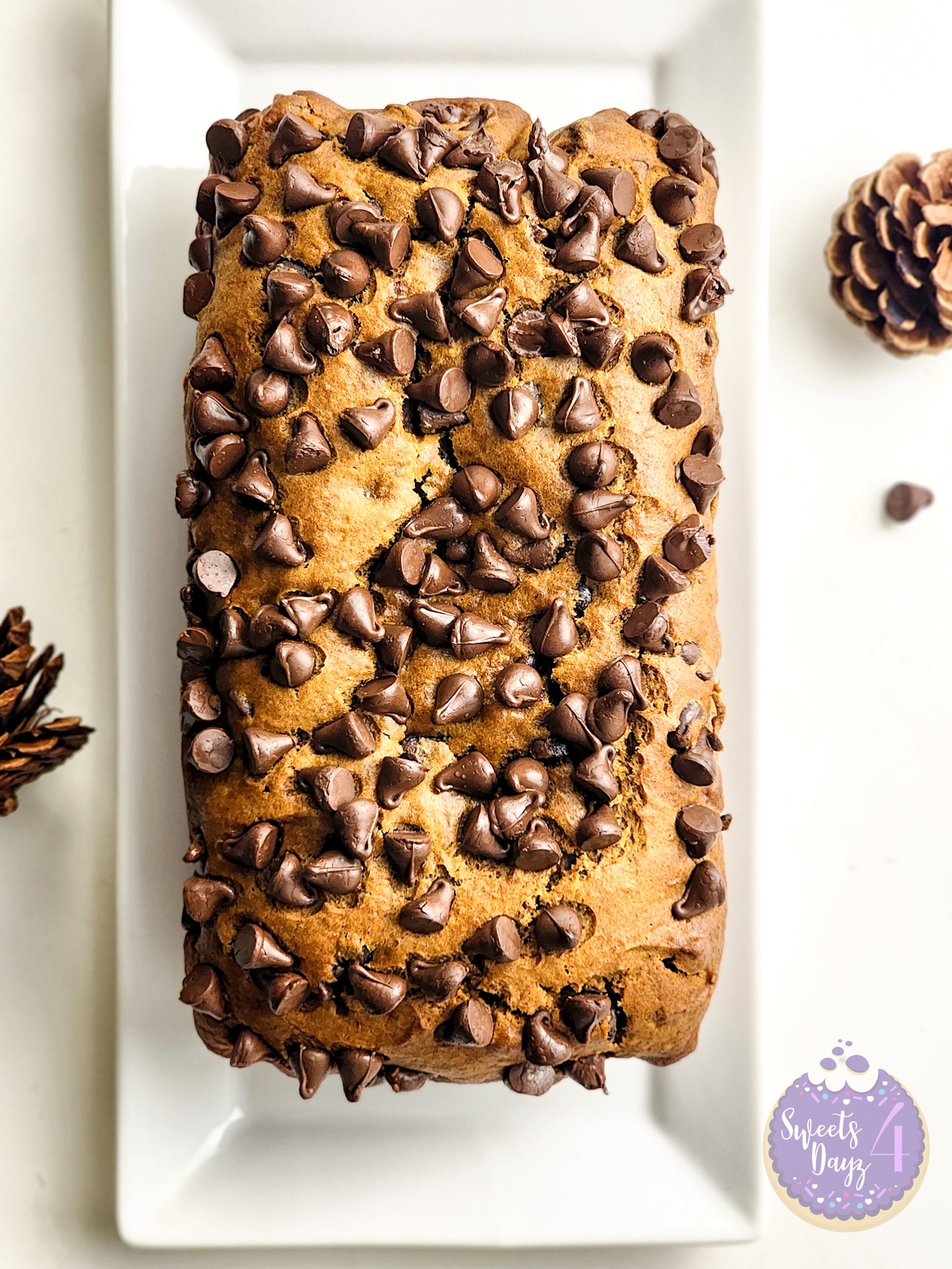 Pumpkin Loaf Bread on White
