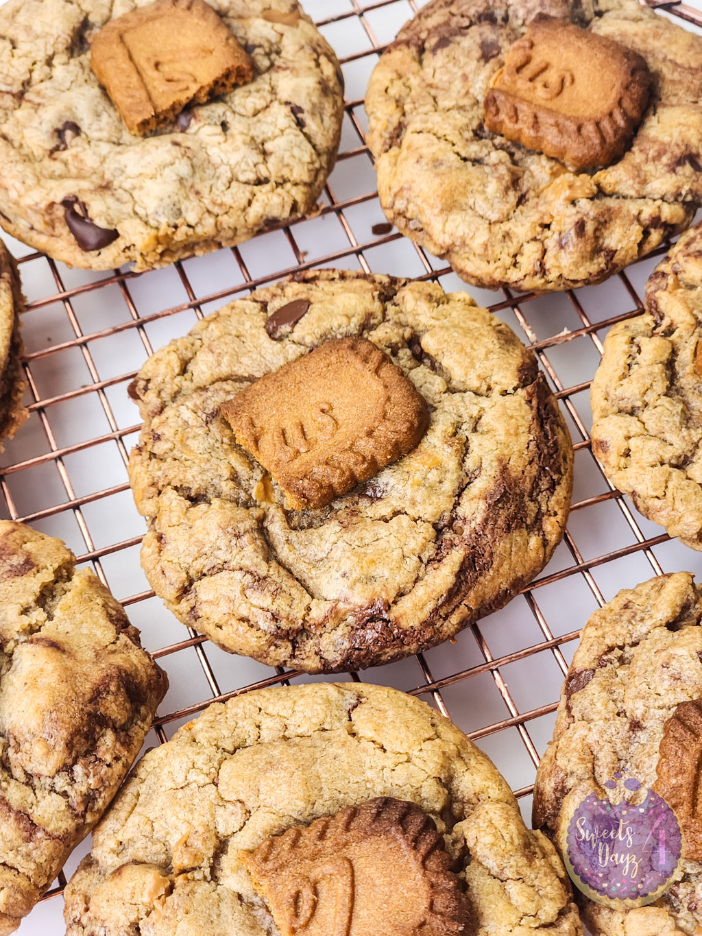 Biscoff Chocolate Chip Cookies on White