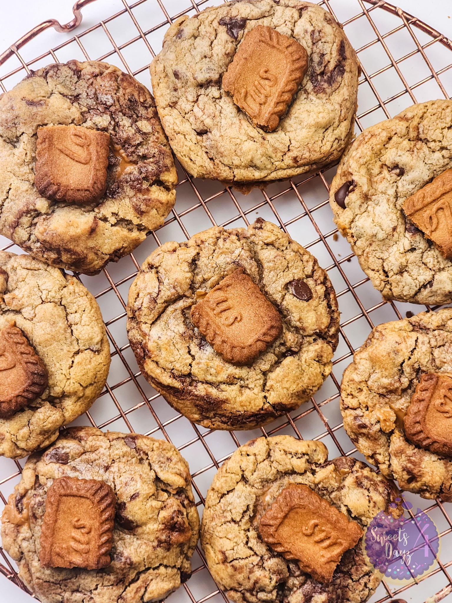 Biscoff Chocolate Chip Cookies on White