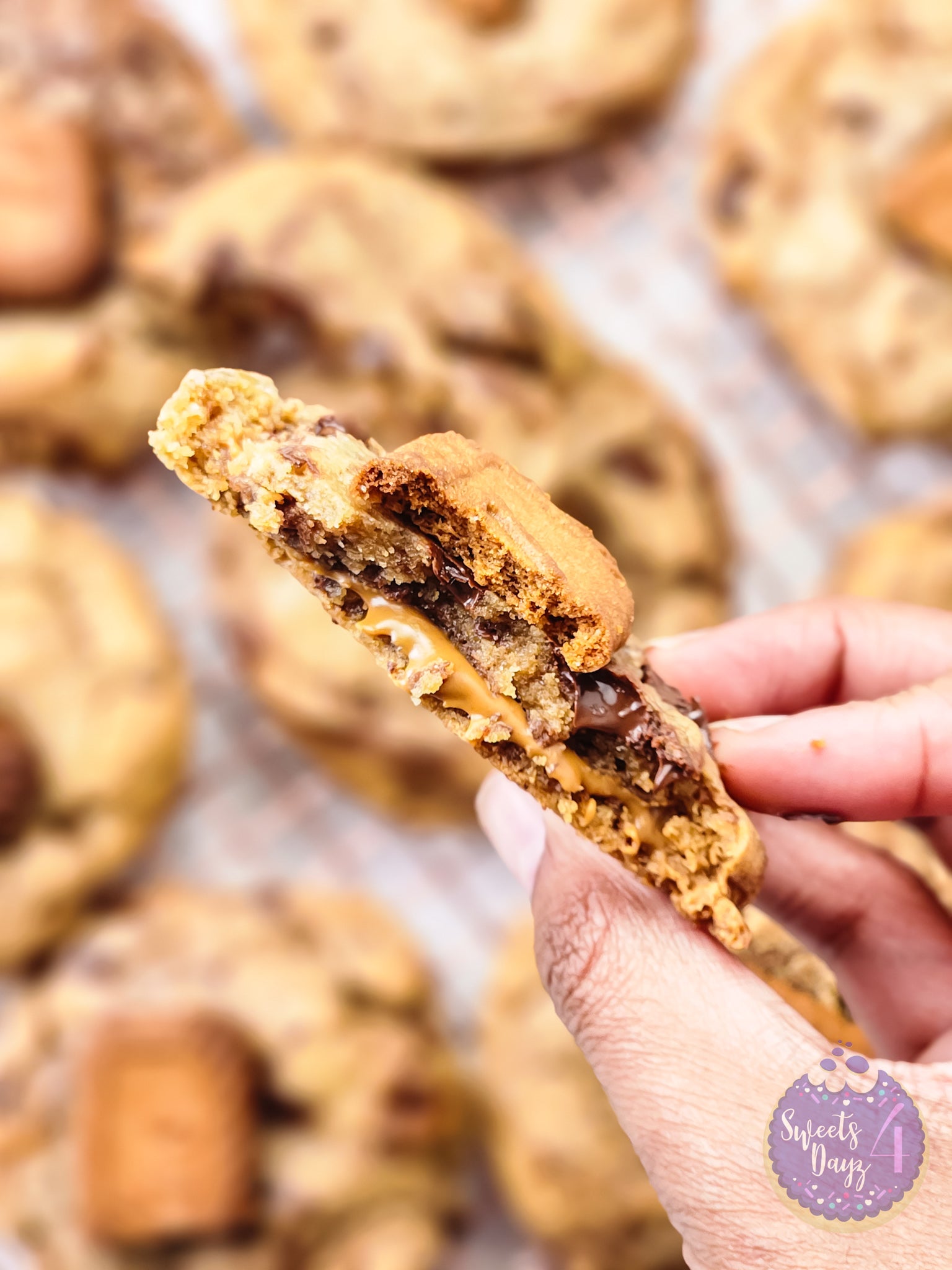 Biscoff Chocolate Chip Cookies on White