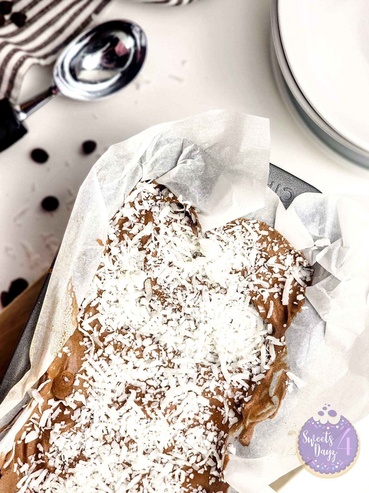 Chocolate Coconut Ice Cream on White